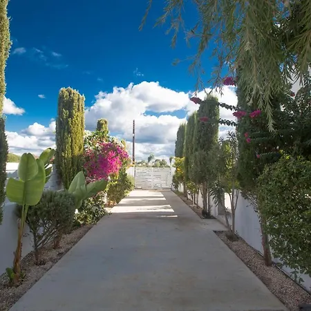 Villa Andriana Ayia Napa